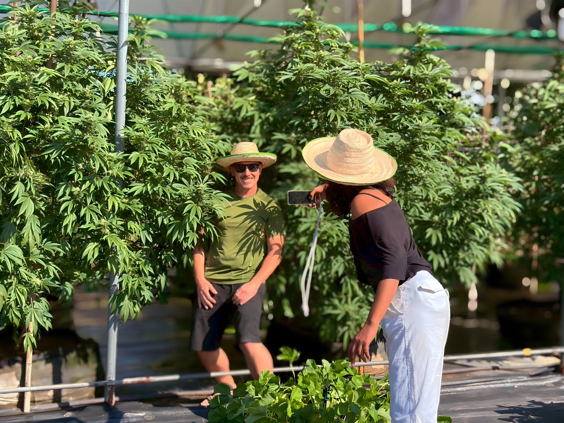 Cannabis Farm Tour + Cooking Class