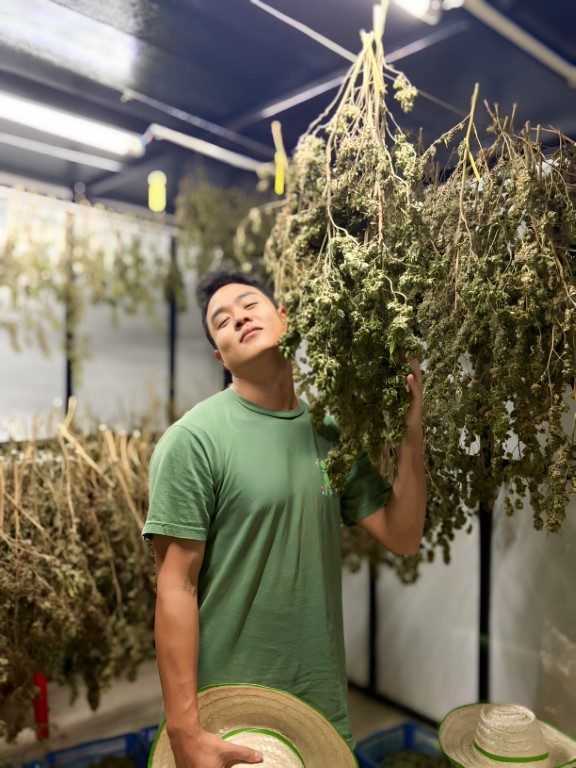 Guests on a guided cannabis farm tour at Happy Herb in Chiang Mai