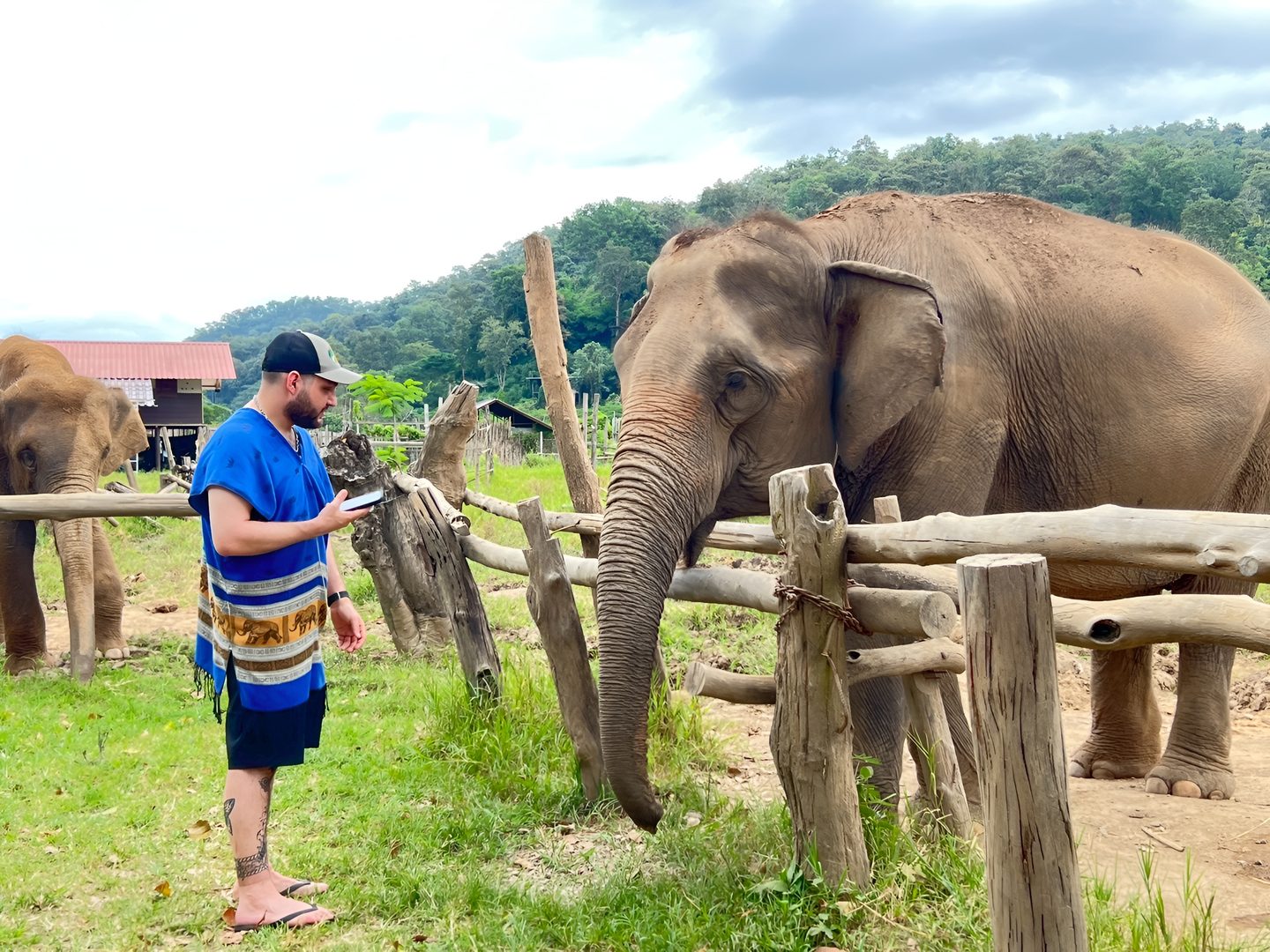 Up-close ethical elephant encounter on the Happy Herb Chiang Mai sanctuary tour