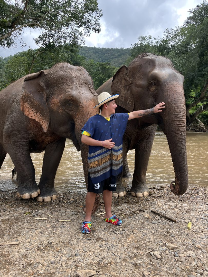 Cannabis Farm + Elephant Sanctuary