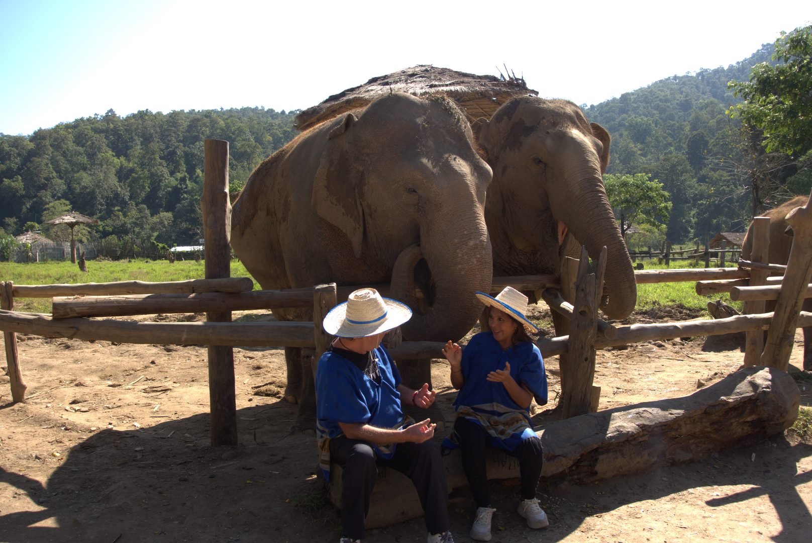 Guests enjoying an ethical elephant experience near Chiang Mai