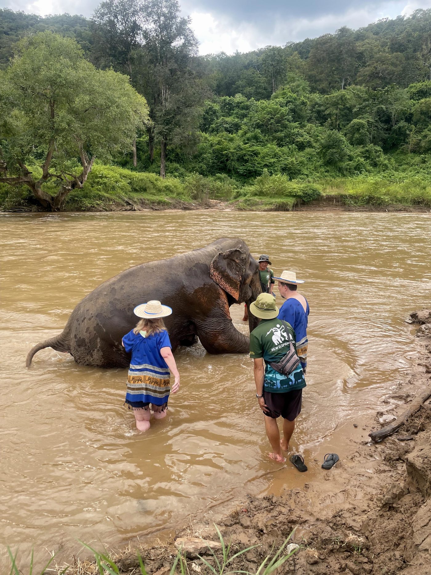 Spending the afternoon with elephants at the Happy Herb sanctuary tour