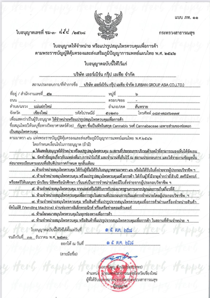 Thai government cannabis operations licence document