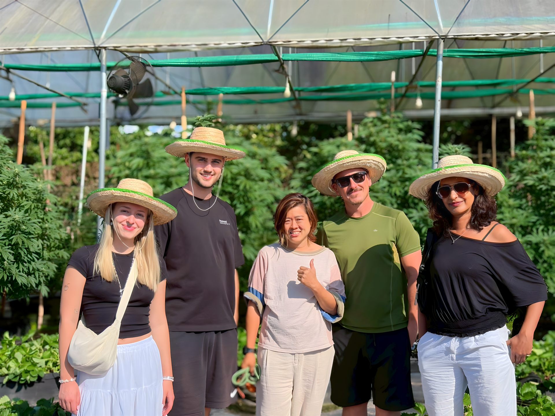 Guided cannabis greenhouse tour at Happy Herb Farm