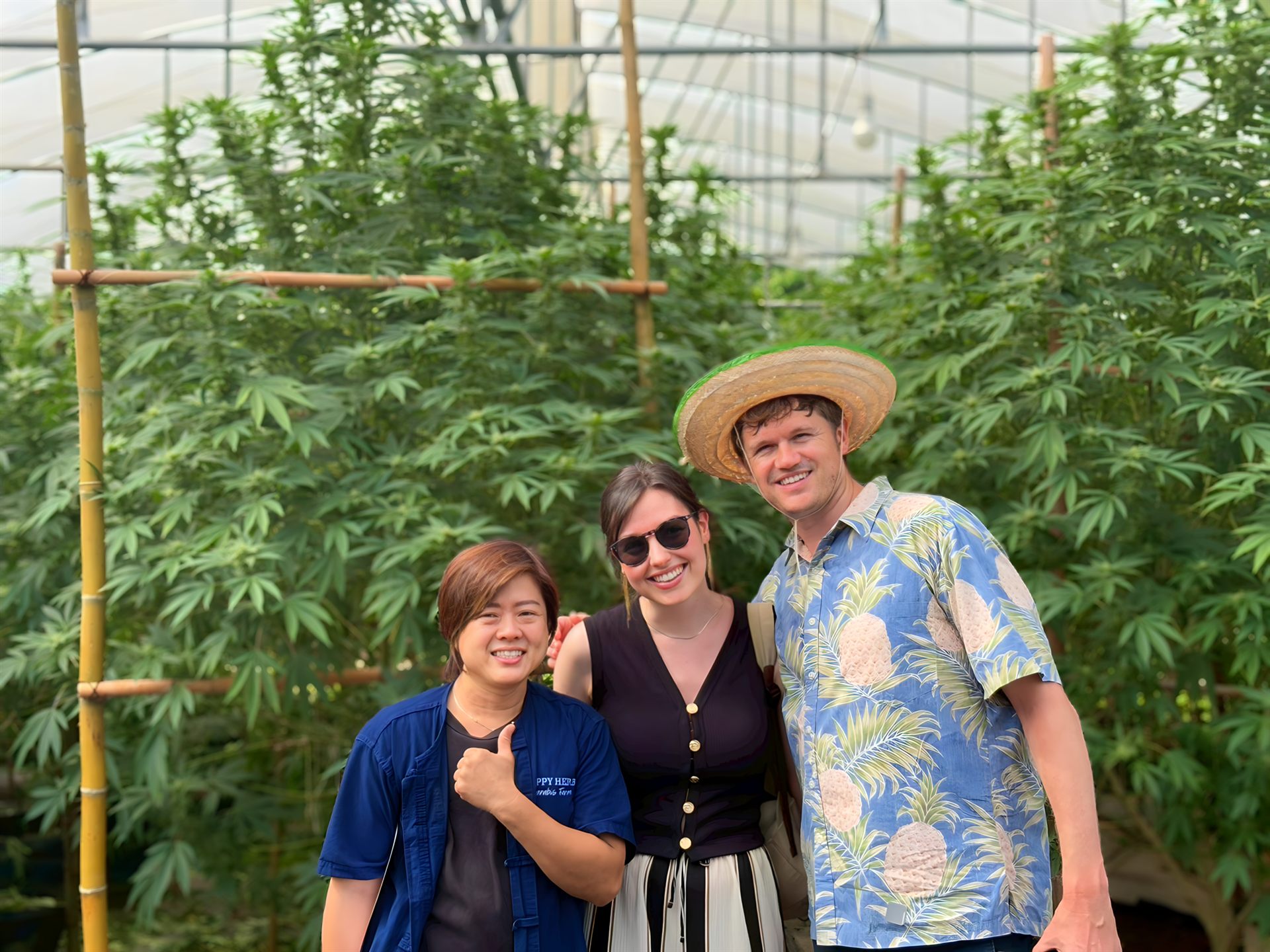 Guests enjoying a Happy Herb cannabis farm tour