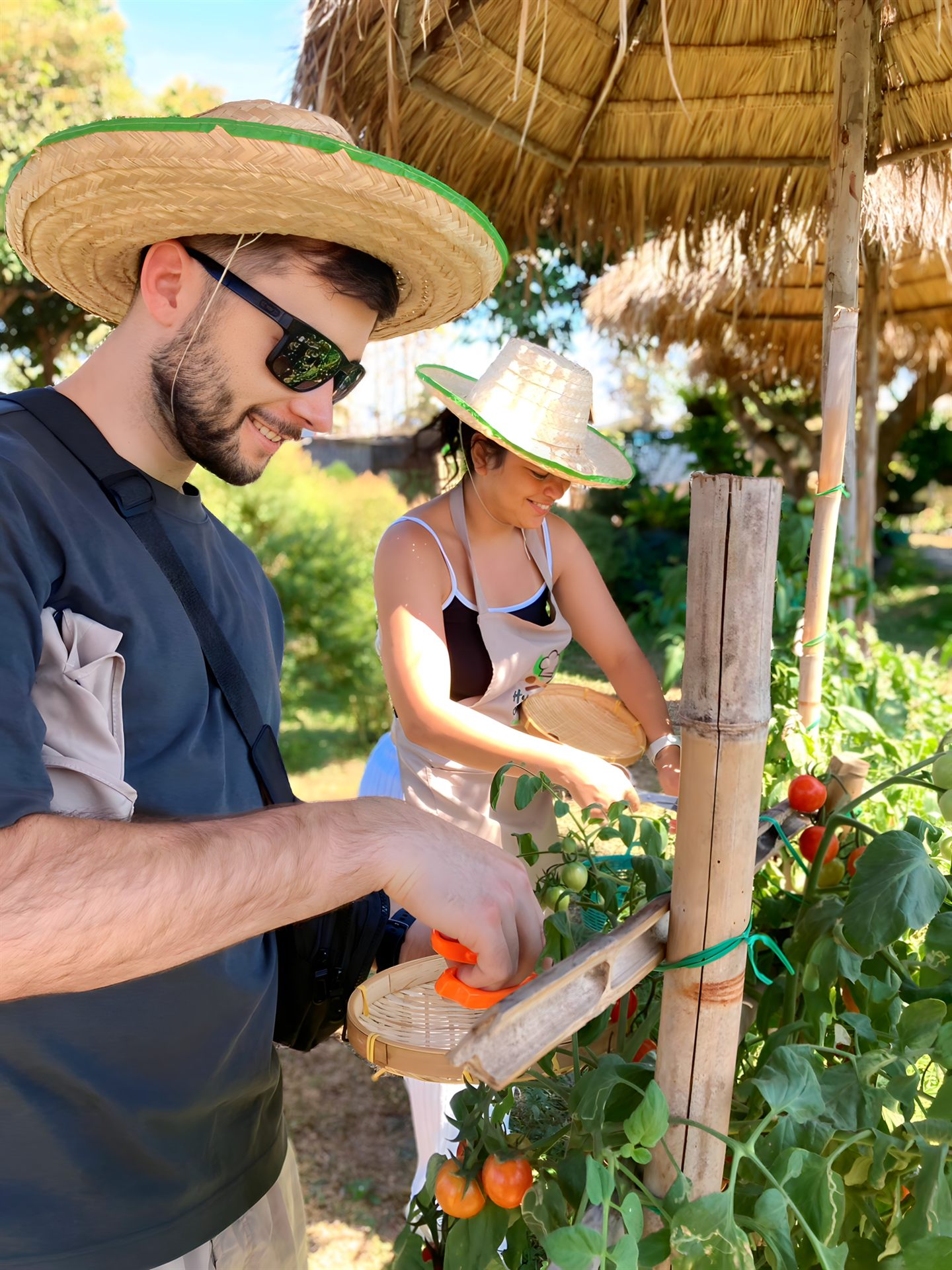 Guests harvesting fresh ingredients at Happy Herb Farm
