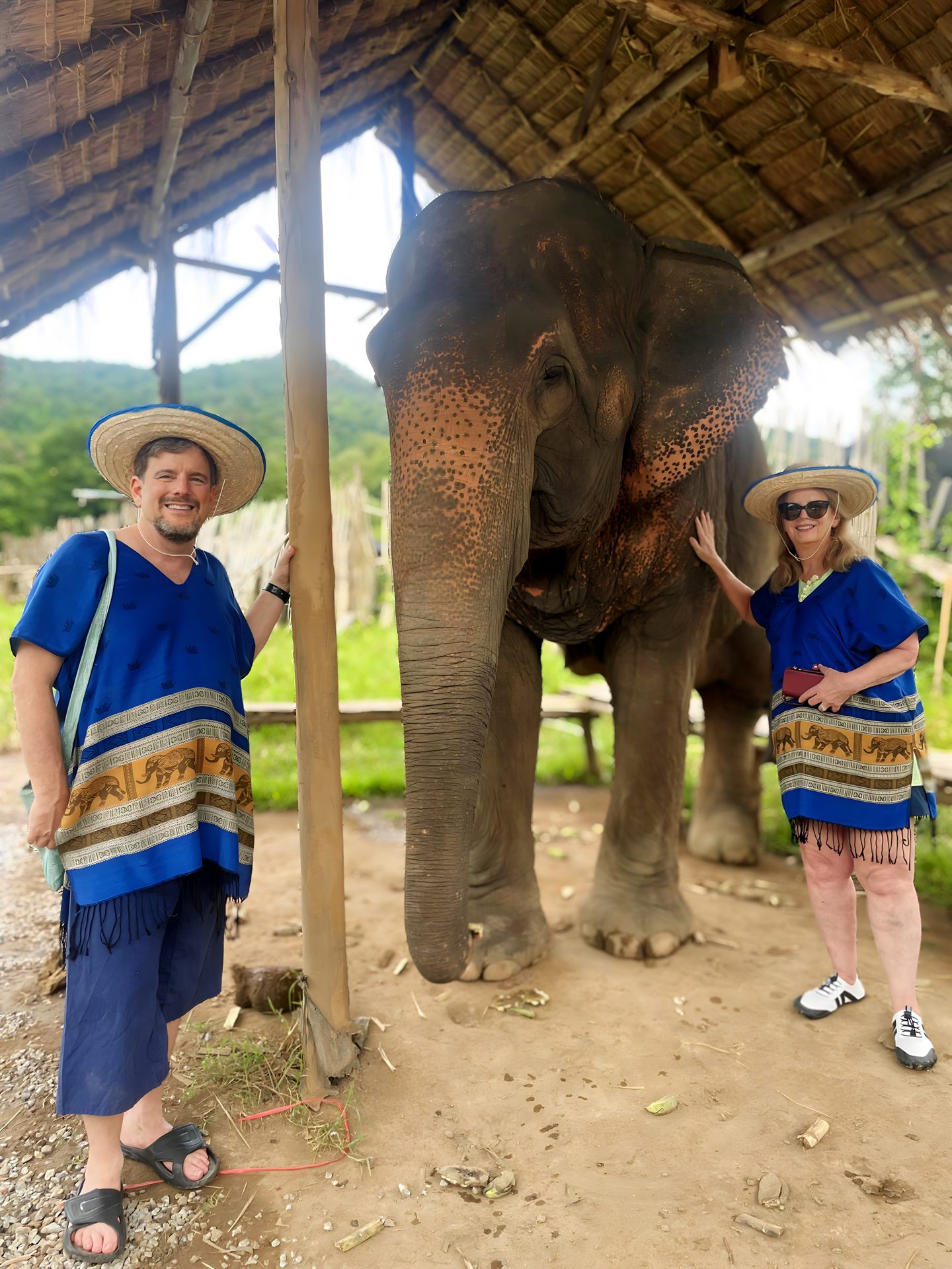 Elephant Sanctuary + Cooking Class