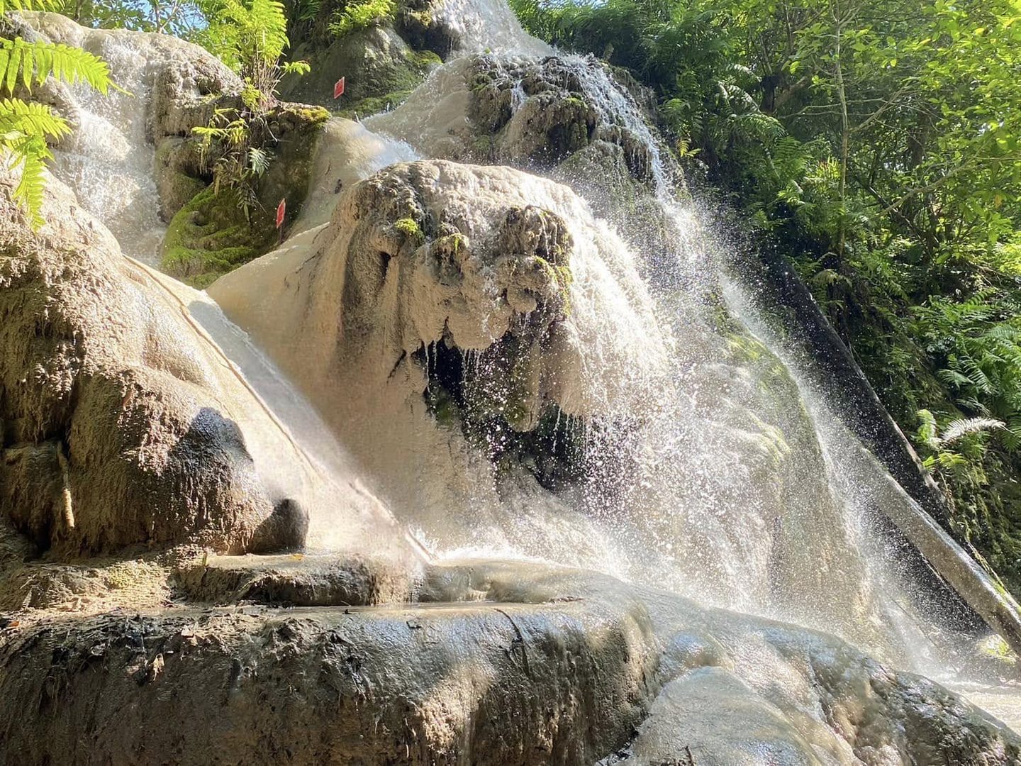 Climbing the mineral-rich limestone of the Bua Tong Sticky Waterfall near Chiang Mai