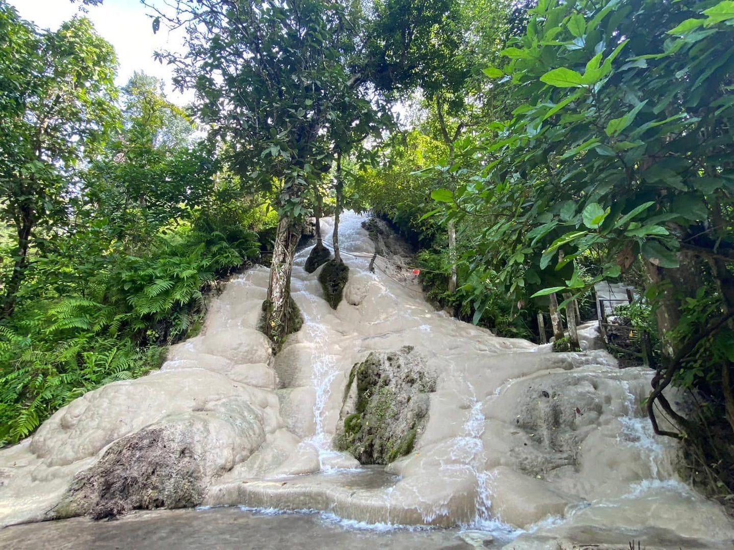 Cannabis Farm + Sticky Waterfall