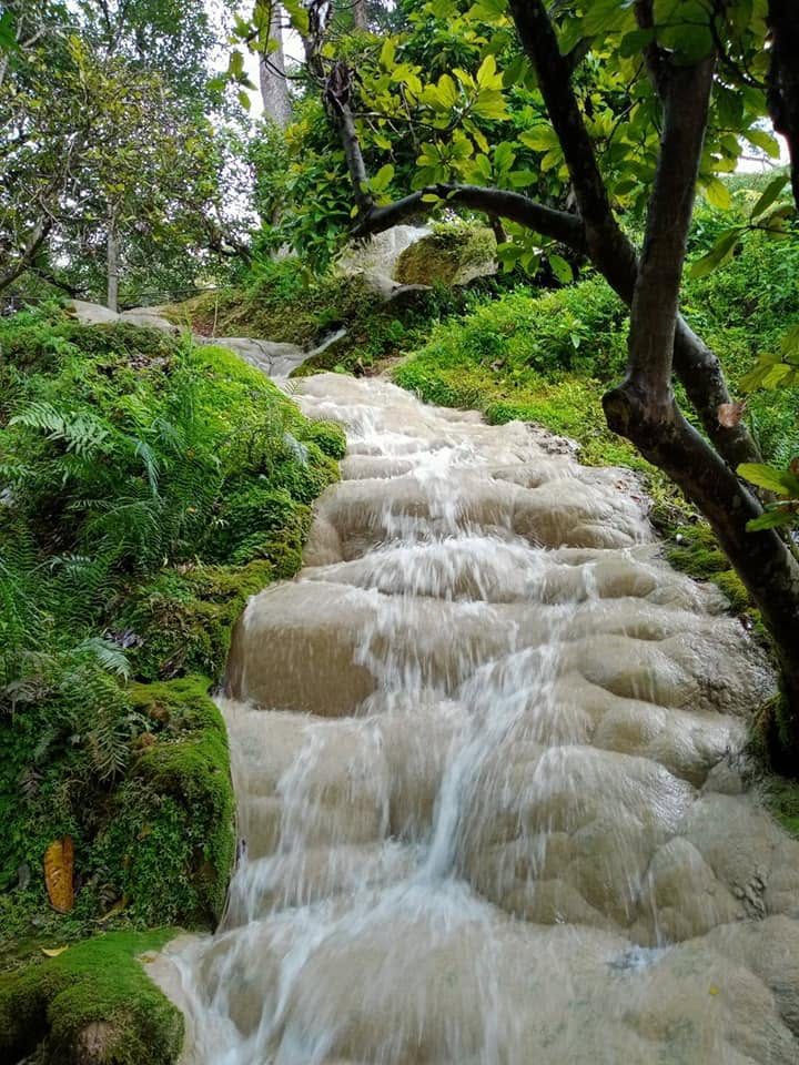 Cannabis Farm + Sticky Waterfall