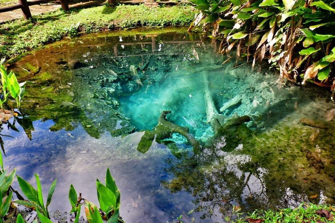 The crystal-clear Chet Si Spring that feeds the Bua Tong waterfall