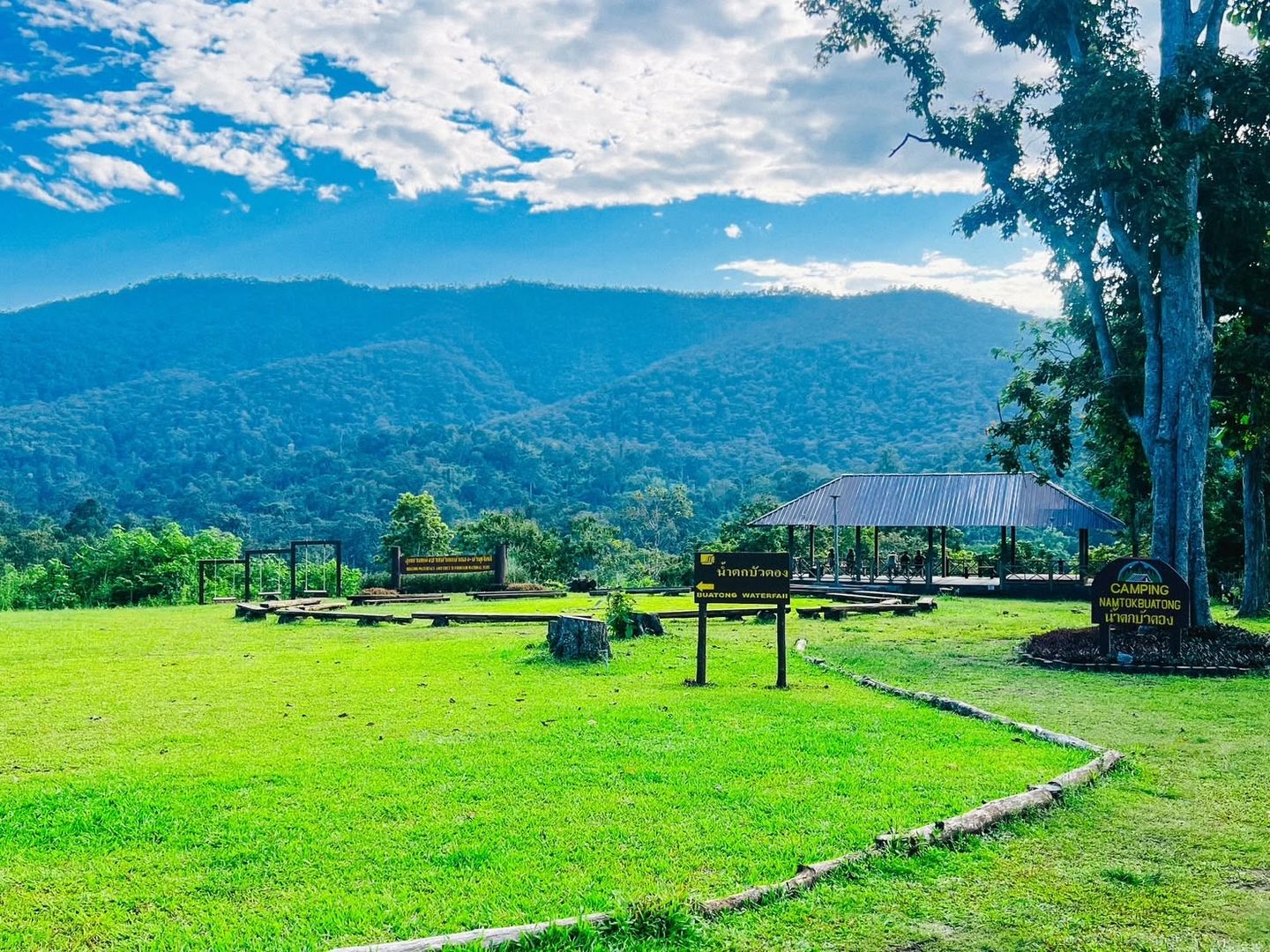 Mountain meadow and viewpoint at Bua Tong Waterfall National Park, Chiang Mai