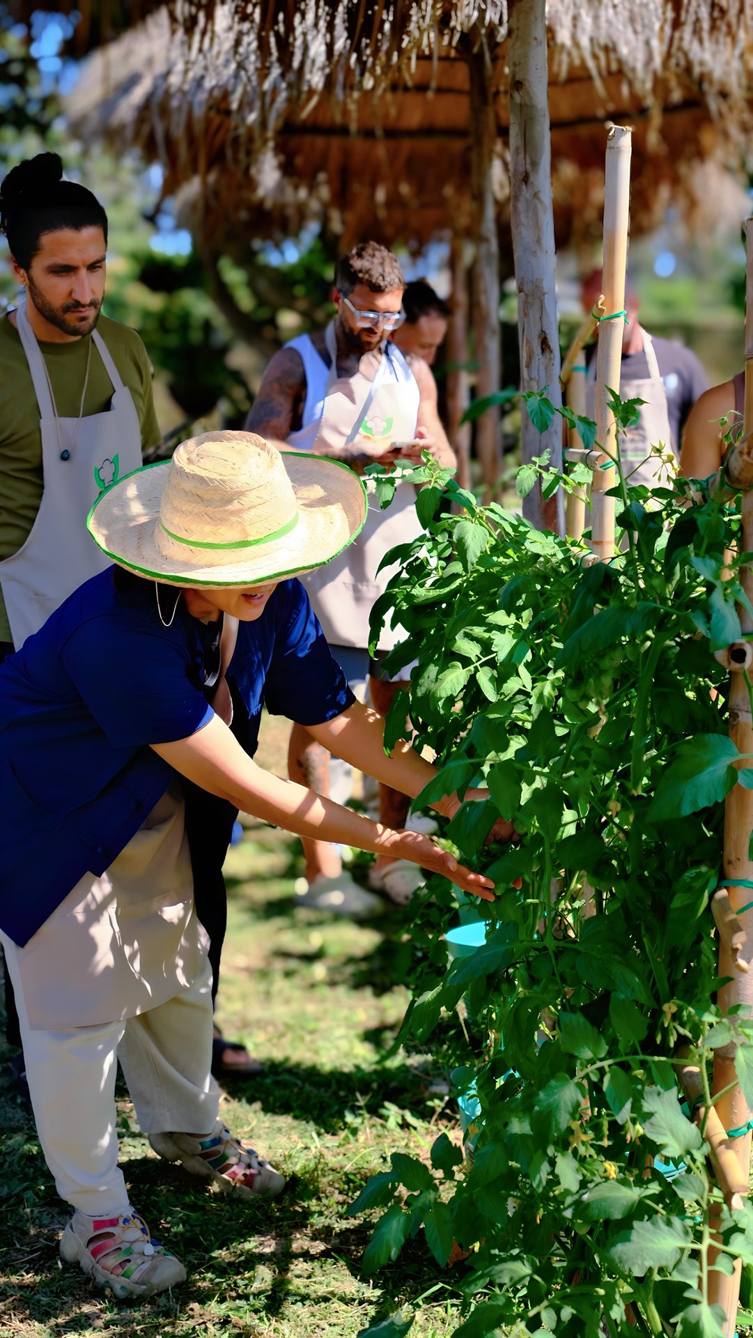 Read more about the article From Garden to Wok